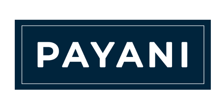 Payani Group's Ecosystem of Excellence: Transforming Businesses to Succeed